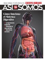 Así Somos - El cuerpo humano